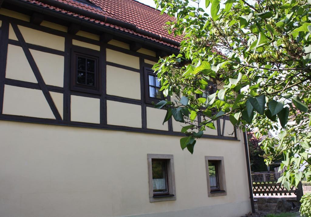 Guest house Lindenschaenke 3*