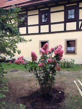Lindenschaenke Guest house Dresden