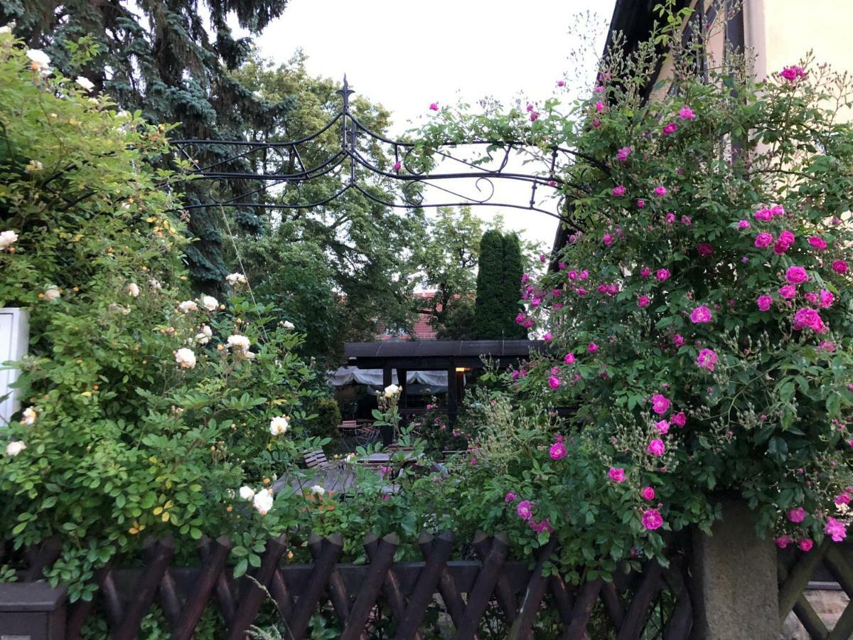 Guest house Lindenschaenke Dresden